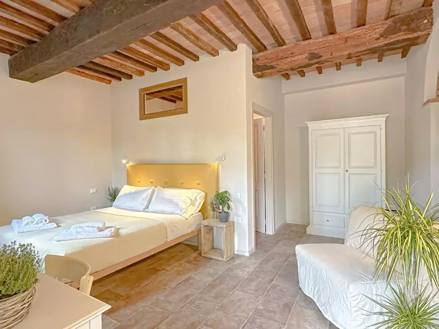 Immagine 13 di Agriturismo in vendita  a Fauglia