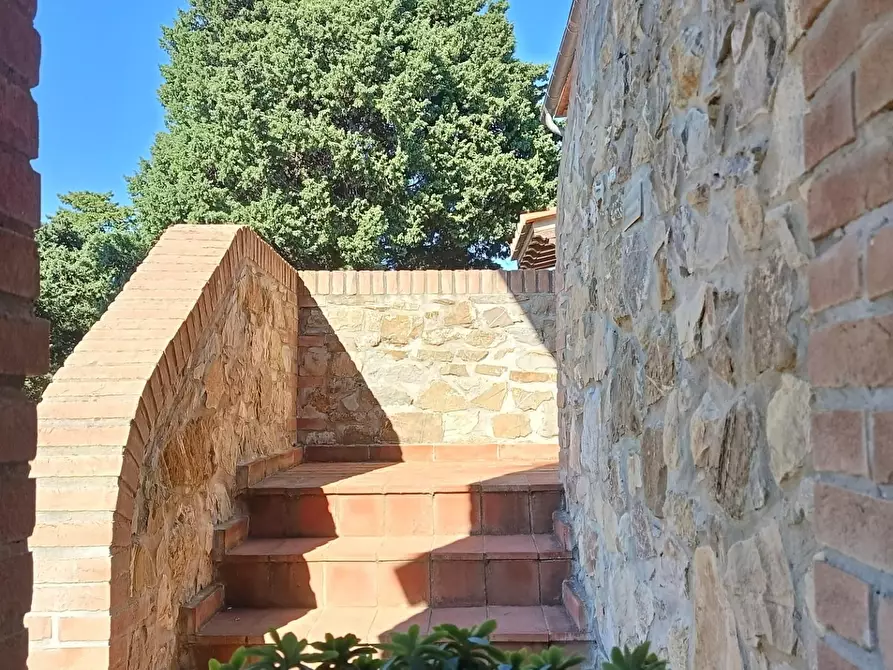 Immagine 5 di Rustico / casale in vendita  a Pisa