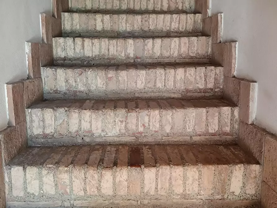 Immagine 3 di Rustico / casale in vendita  a Pisa