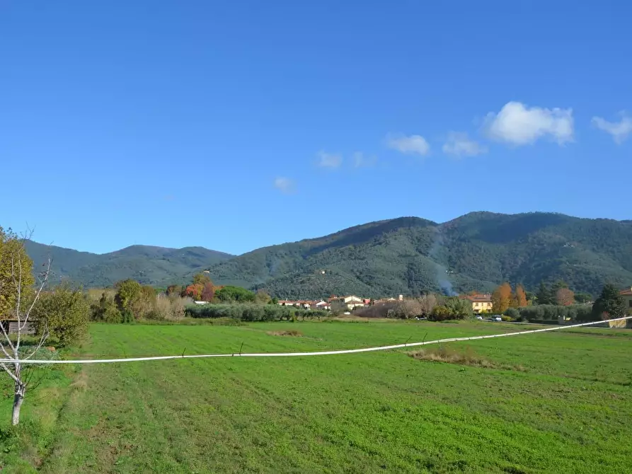 Immagine 12 di Terratetto in vendita  a San Giuliano Terme