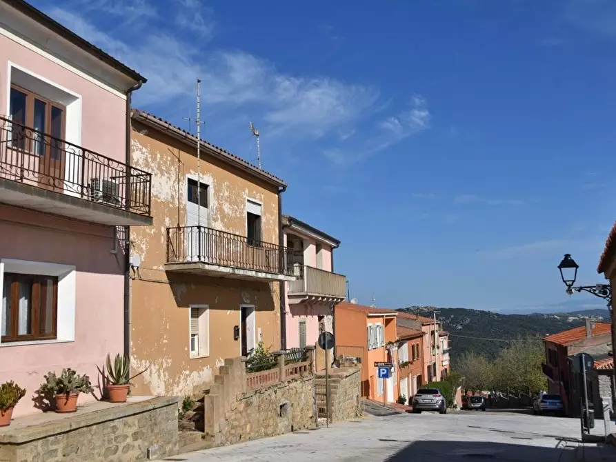 Immagine 5 di Terratetto in vendita  a Luogosanto