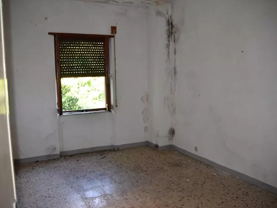 Immagine 27 di Terratetto in vendita  a Luogosanto
