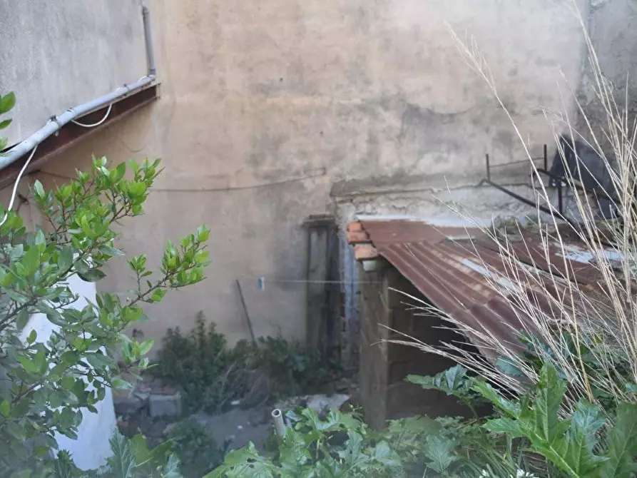 Immagine 24 di Terratetto in vendita  a Luogosanto
