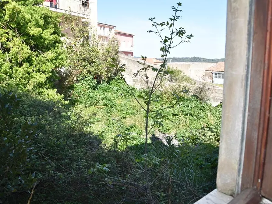 Immagine 30 di Terratetto in vendita  a Luogosanto