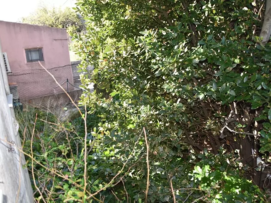Immagine 29 di Terratetto in vendita  a Luogosanto