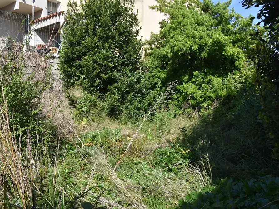 Immagine 22 di Terratetto in vendita  a Luogosanto