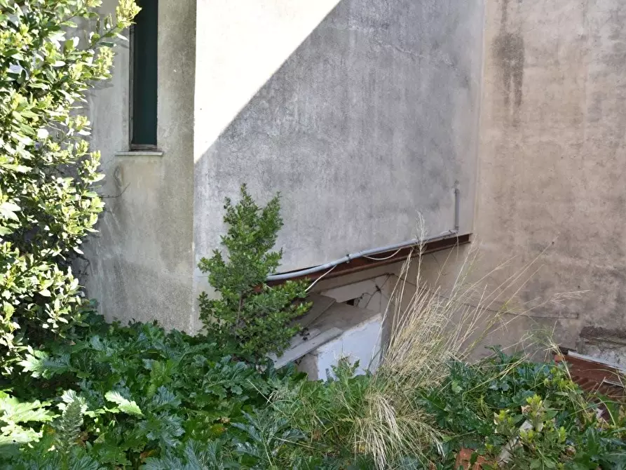 Immagine 21 di Terratetto in vendita  a Luogosanto