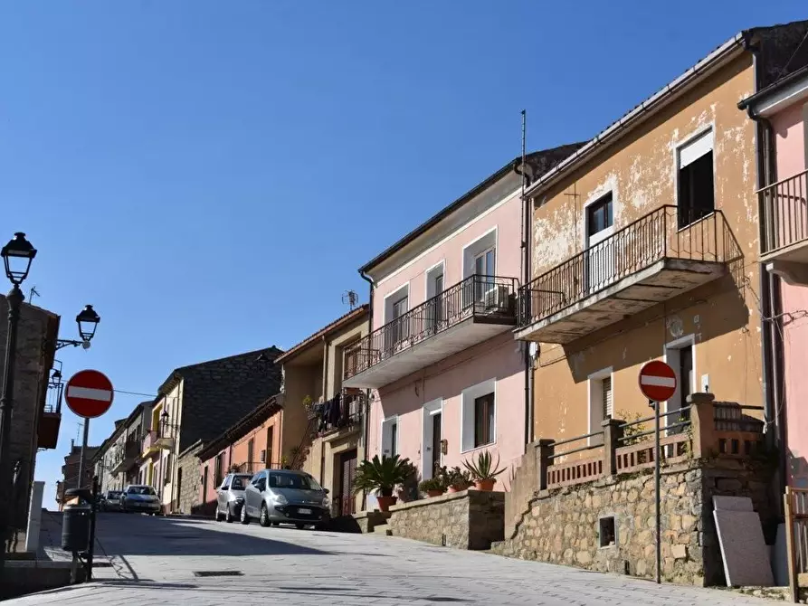 Immagine 4 di Terratetto in vendita  a Luogosanto