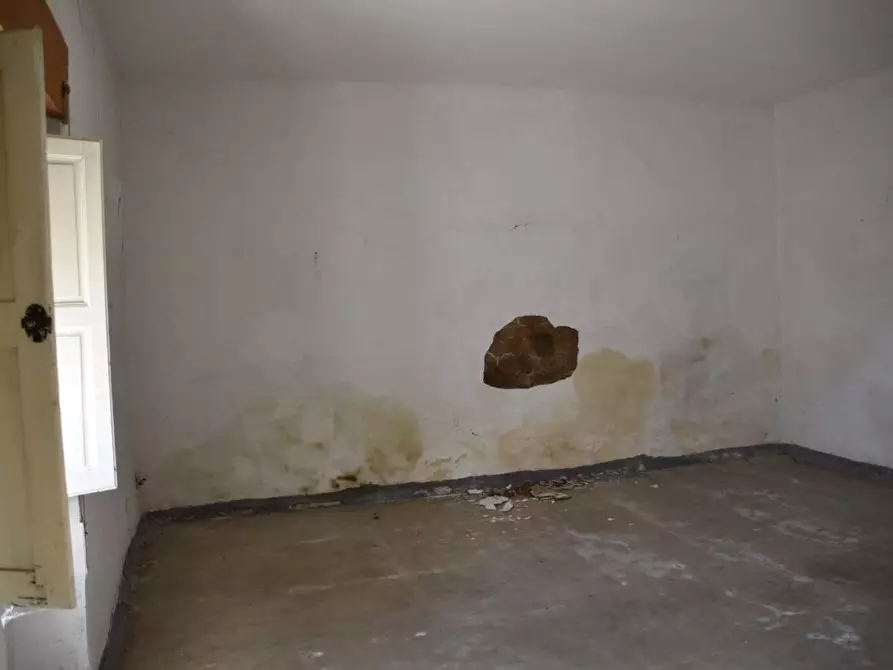 Immagine 6 di Terratetto in vendita  a Luogosanto