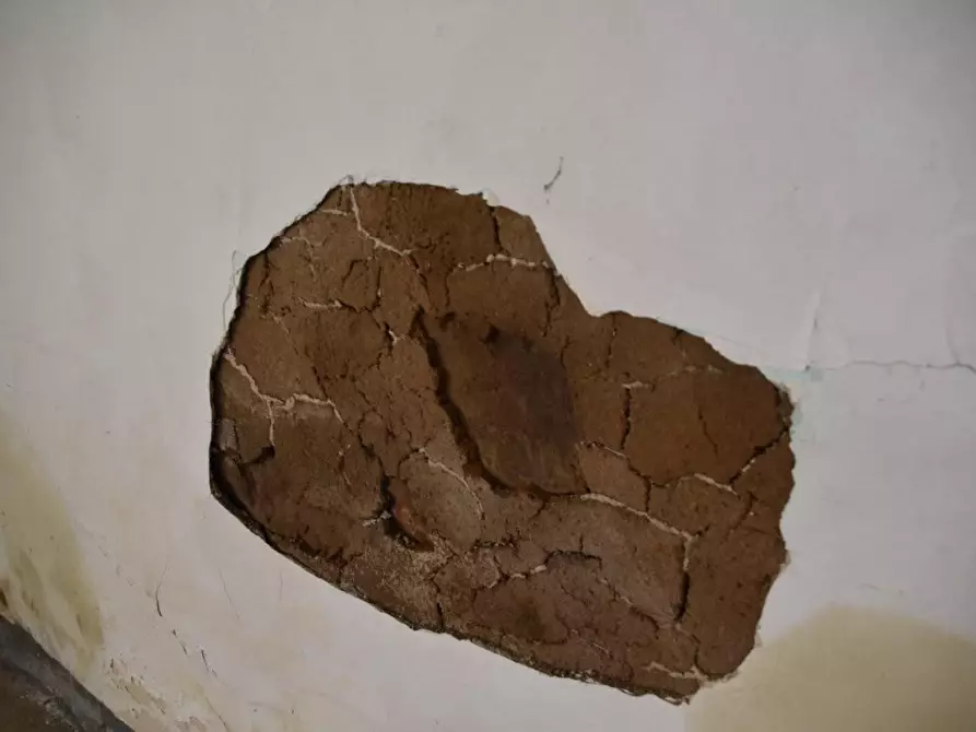 Immagine 9 di Terratetto in vendita  a Luogosanto