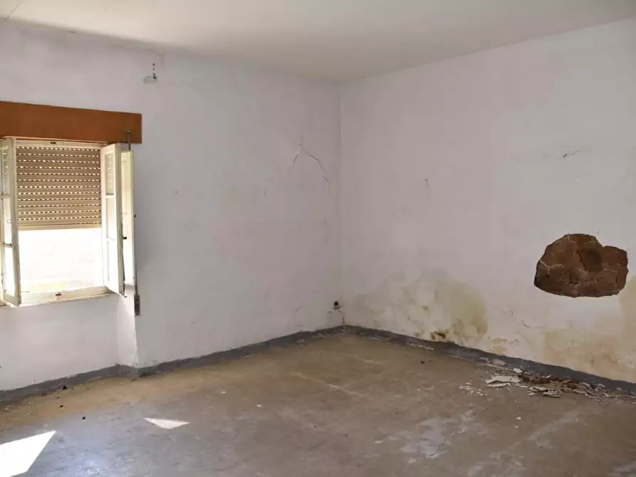 Immagine 8 di Terratetto in vendita  a Luogosanto