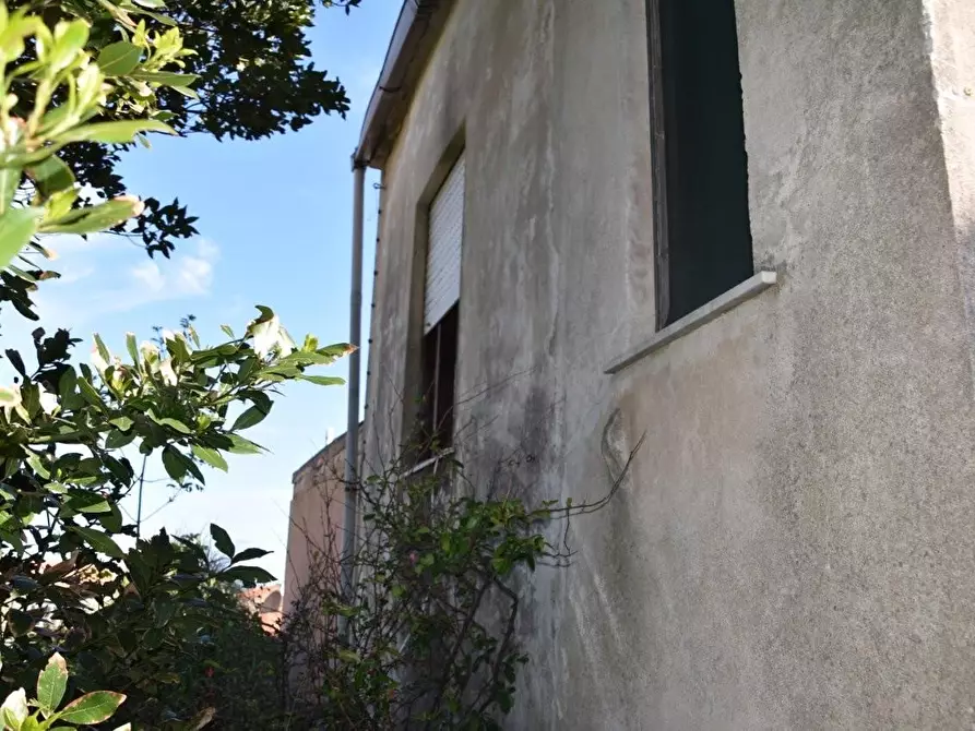 Immagine 23 di Terratetto in vendita  a Luogosanto
