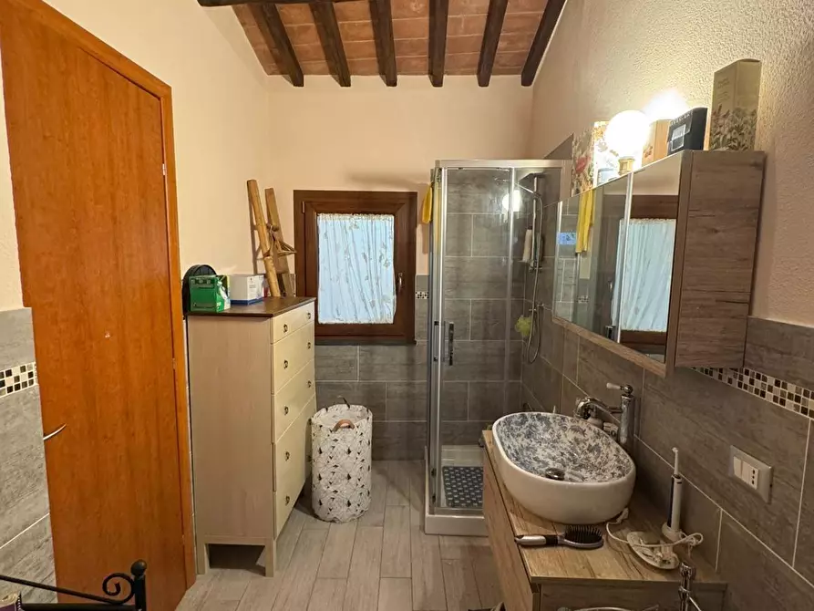 Immagine 19 di Appartamento in vendita  a Fauglia