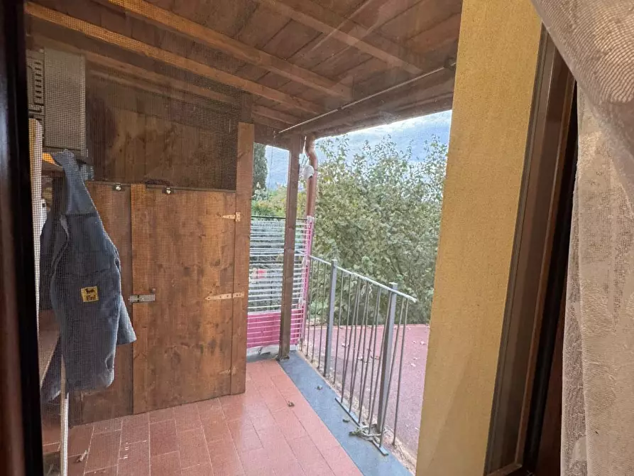 Immagine 24 di Appartamento in vendita  a Fauglia