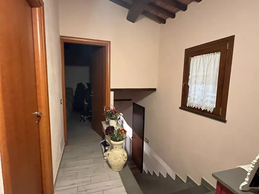 Immagine 25 di Appartamento in vendita  a Fauglia