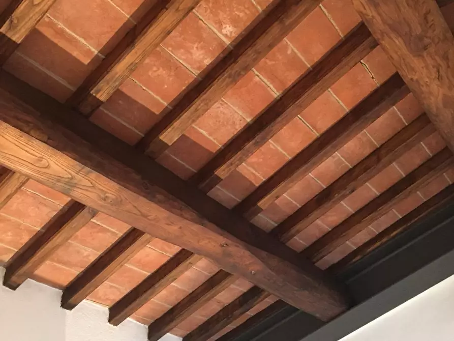 Immagine 27 di Appartamento in vendita  a Fauglia