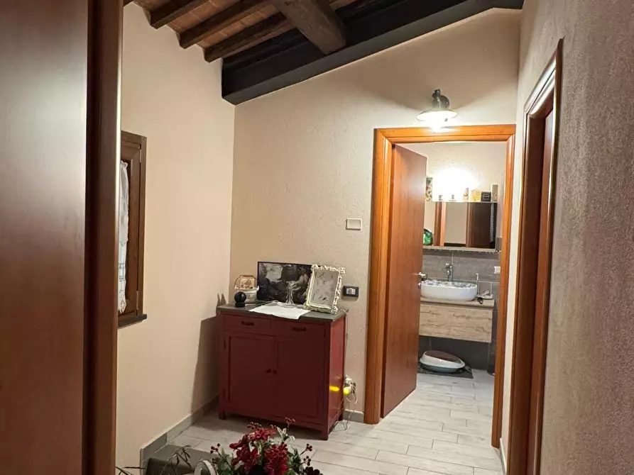 Immagine 16 di Appartamento in vendita  a Fauglia