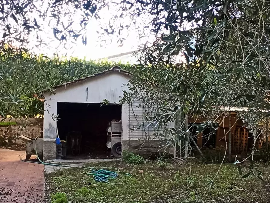 Immagine 18 di Villa in vendita  a Lucca