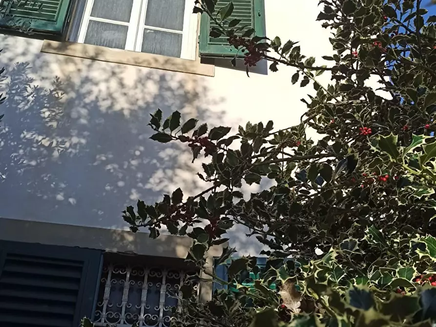 Immagine 3 di Villa in vendita  a Lucca