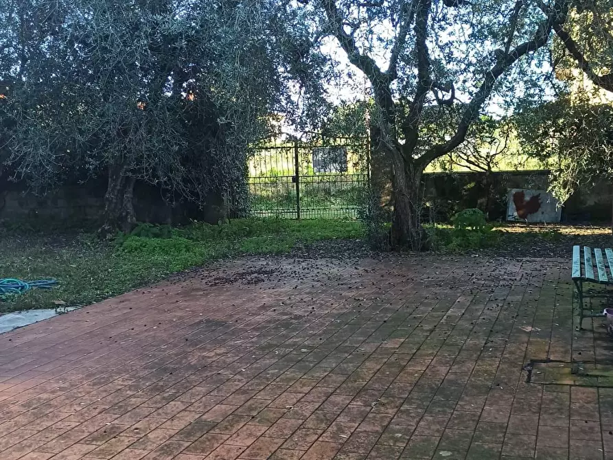 Immagine 33 di Villa in vendita  a Lucca