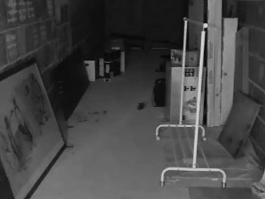 Immagine 3 di Appartamento in vendita  a Lardirago