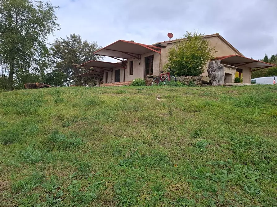 Immagine 7 di Rustico / casale in vendita  a Manciano