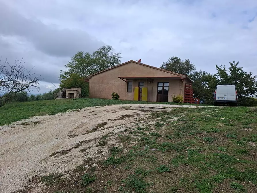 Immagine 2 di Rustico / casale in vendita  a Manciano