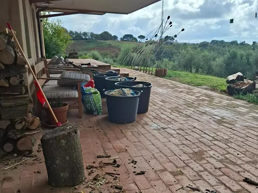 Immagine 28 di Rustico / casale in vendita  a Manciano