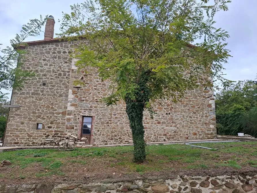 Immagine 3 di Rustico / casale in vendita  a Manciano