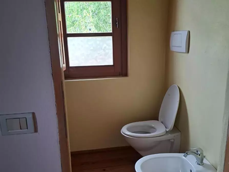 Immagine 20 di Rustico / casale in vendita  a Manciano