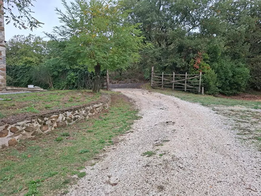 Immagine 5 di Rustico / casale in vendita  a Manciano