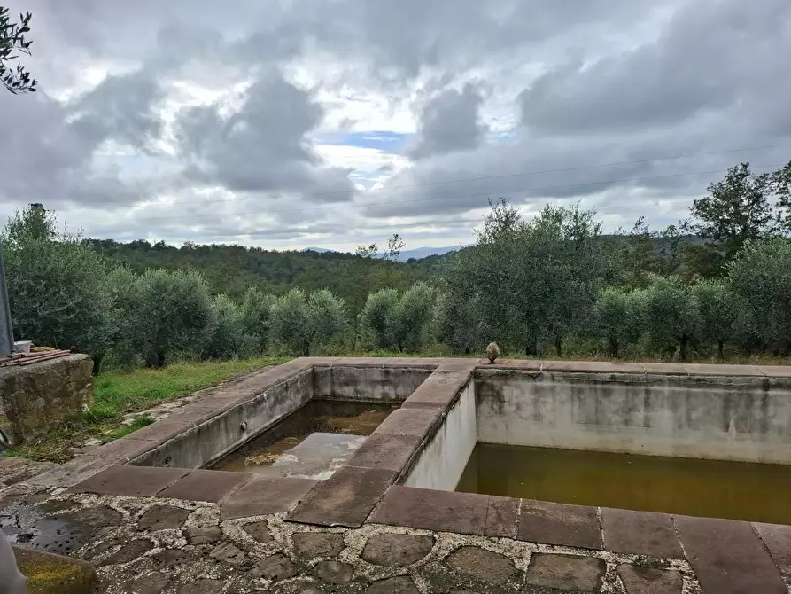 Immagine 8 di Rustico / casale in vendita  a Manciano