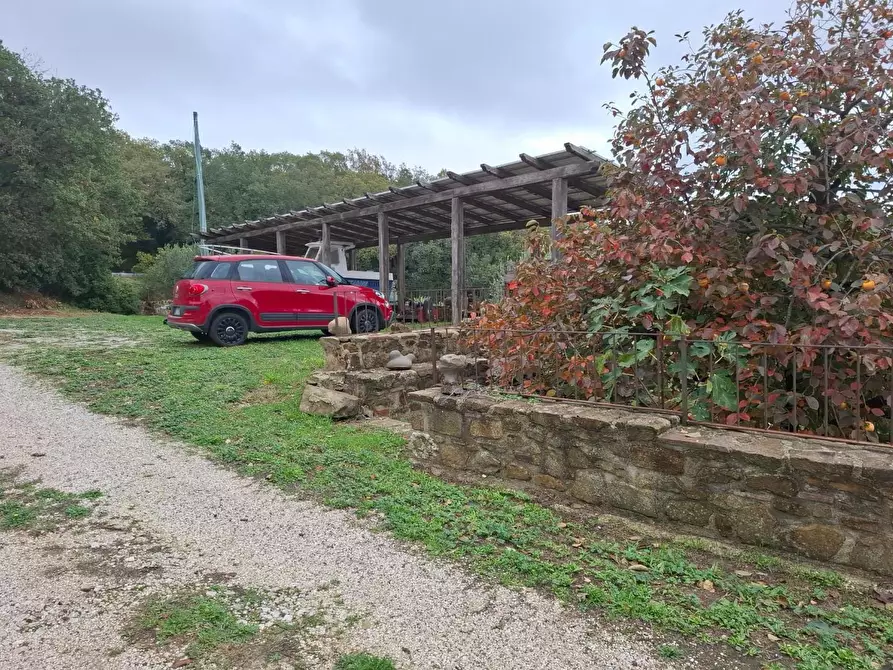 Immagine 6 di Rustico / casale in vendita  a Manciano