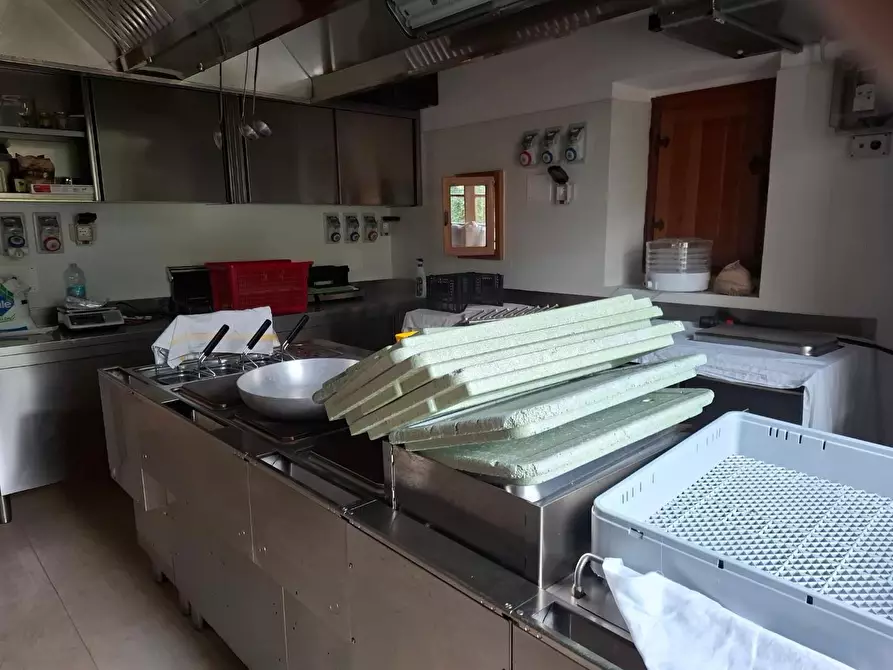 Immagine 11 di Rustico / casale in vendita  a Manciano