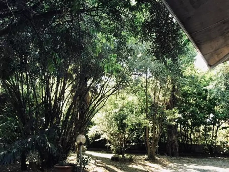 Immagine 8 di Appartamento in vendita  a Pietrasanta