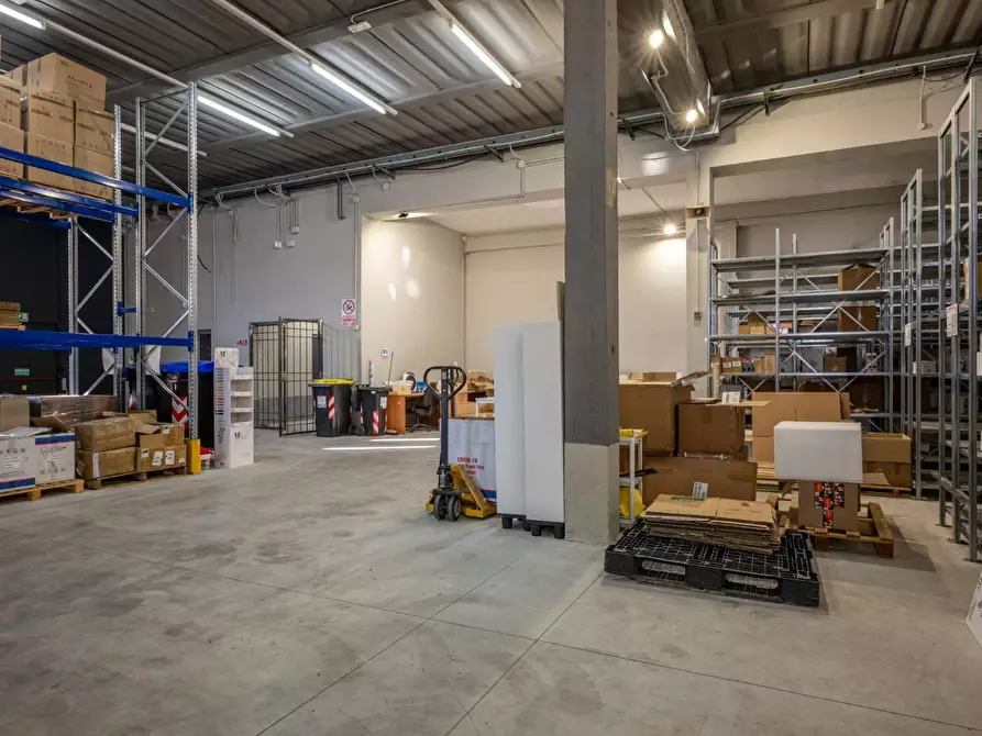 Immagine 11 di Capannone industriale in vendita  a Calcinaia