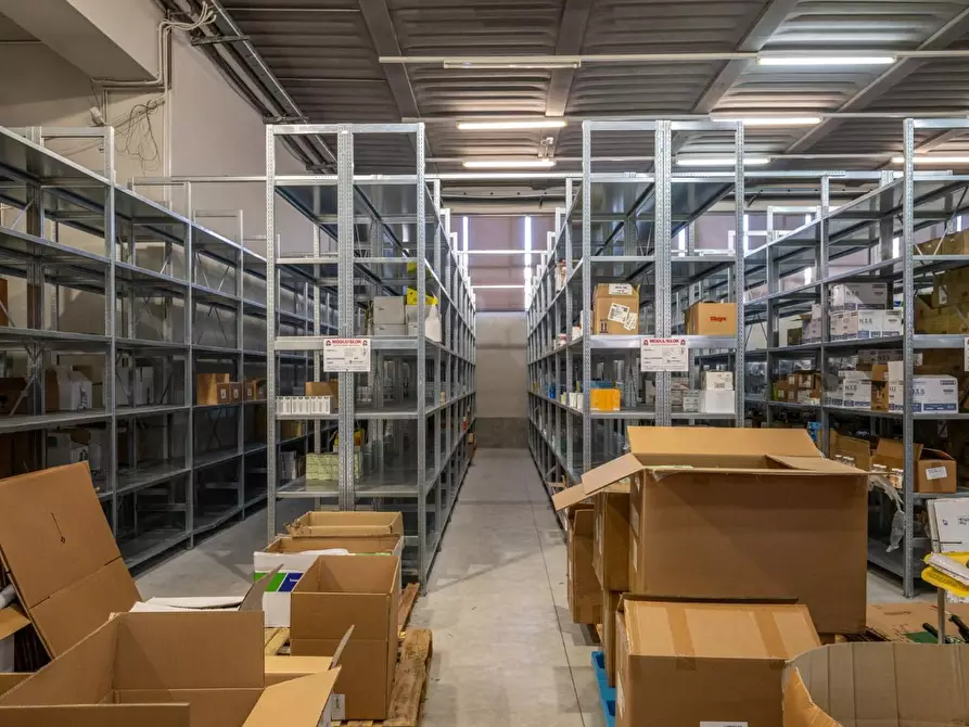 Immagine 12 di Capannone industriale in vendita  a Calcinaia