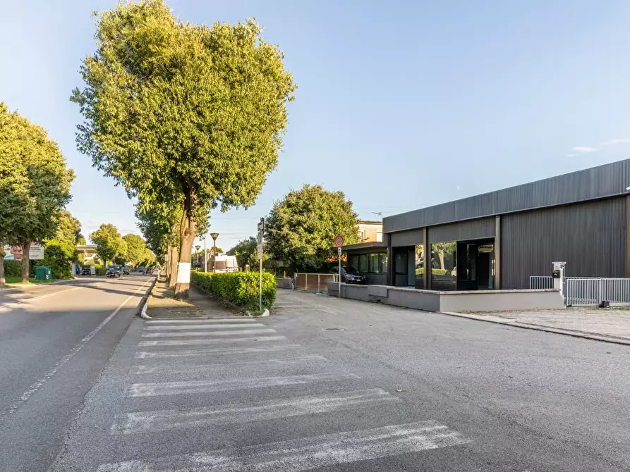 Immagine 51 di Capannone industriale in vendita  a Calcinaia