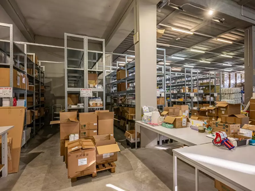 Immagine 13 di Capannone industriale in vendita  a Calcinaia