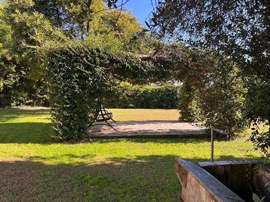 Immagine 7 di Rustico / casale in vendita  a Pietrasanta