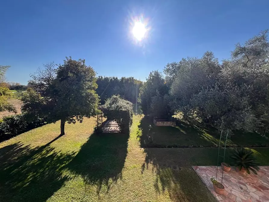 Immagine 27 di Rustico / casale in vendita  a Pietrasanta