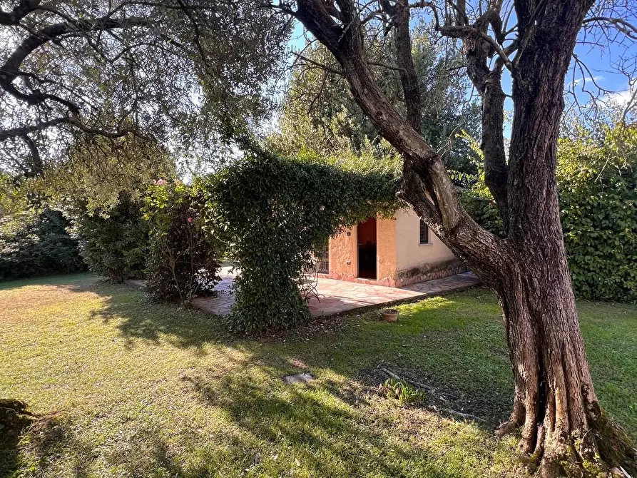 Immagine 34 di Rustico / casale in vendita  a Pietrasanta