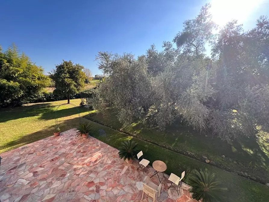 Immagine 29 di Rustico / casale in vendita  a Pietrasanta