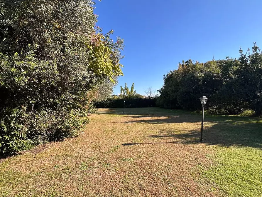 Immagine 6 di Rustico / casale in vendita  a Pietrasanta