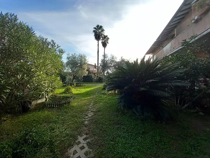 Immagine 23 di Casa quadrifamiliare in vendita  a Massa