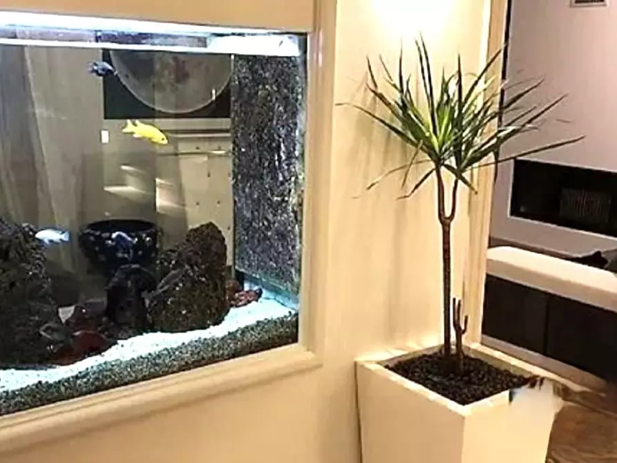 Immagine 14 di Villa in vendita  a Massa