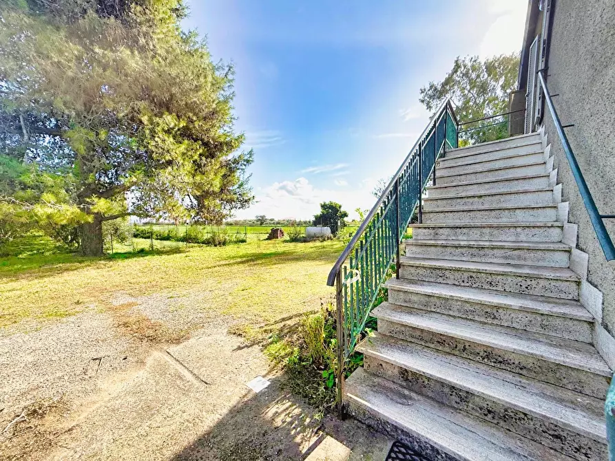 Immagine 6 di Casa colonica in vendita  a Castiglione Della Pescaia