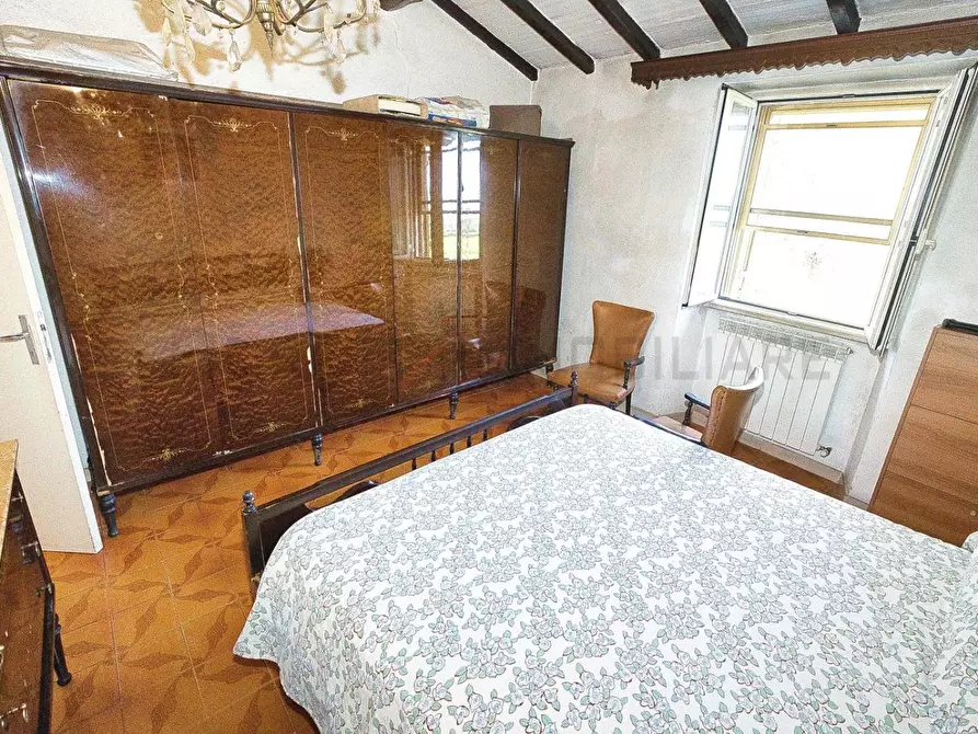 Immagine 19 di Casa colonica in vendita  a Castiglione Della Pescaia