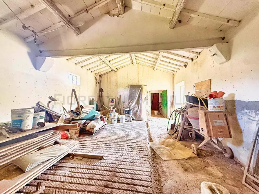 Immagine 28 di Casa colonica in vendita  a Castiglione Della Pescaia