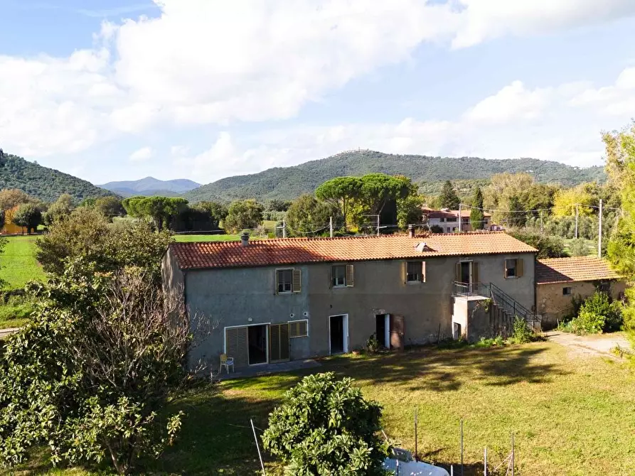 Immagine 3 di Casa colonica in vendita  a Castiglione Della Pescaia